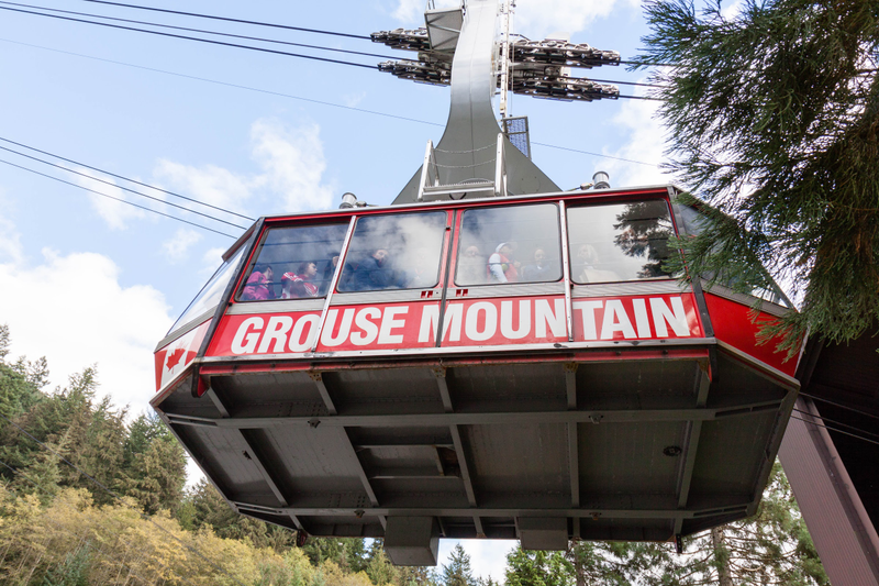 Illustration for article titled Pics from the (Mountain)side: 2016-10-10 at Grouse Mountain